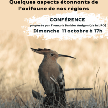 Conférence Oiseaux